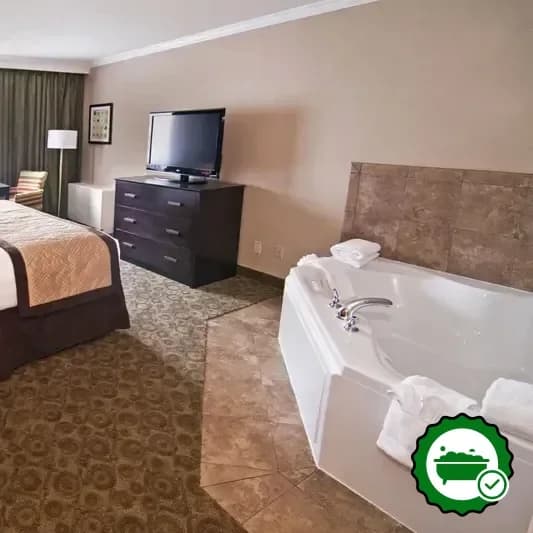 Hotels with jacuzzi in room in Burnsville