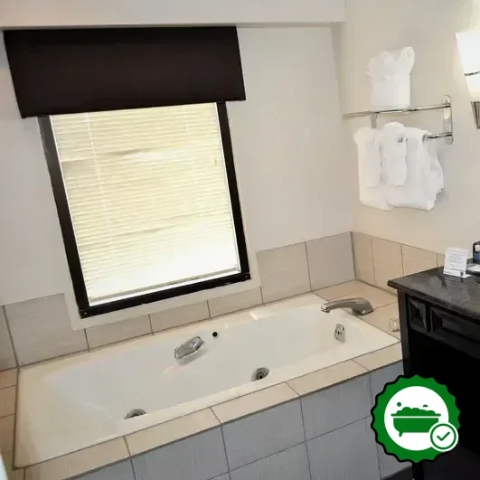 Comfort Inn Downtown Charleston