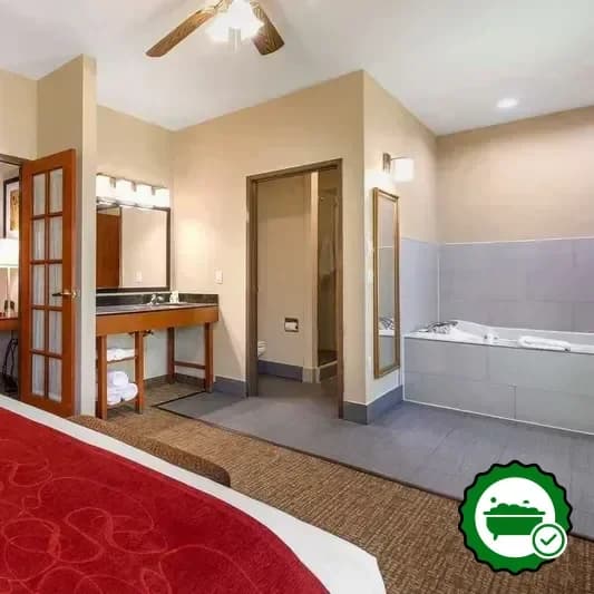 Comfort Suites North Dallas