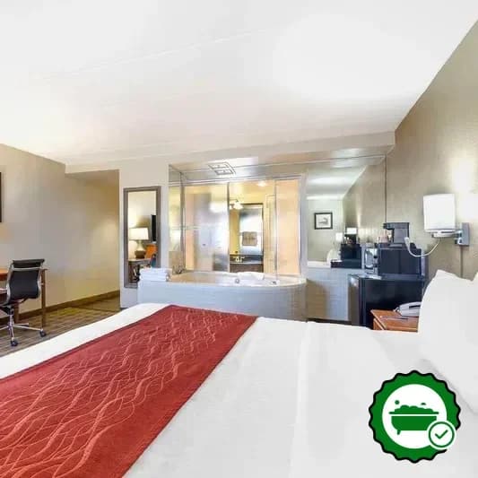 Comfort Inn University Center