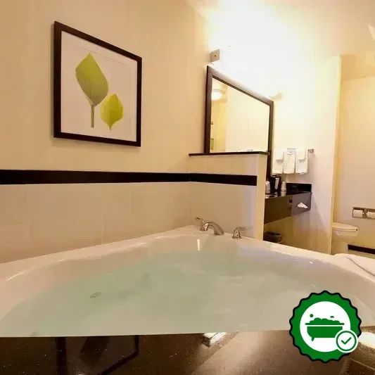 Hotels with jacuzzi in room in Fenton