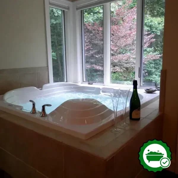 Hotels with jacuzzi in room in Holland