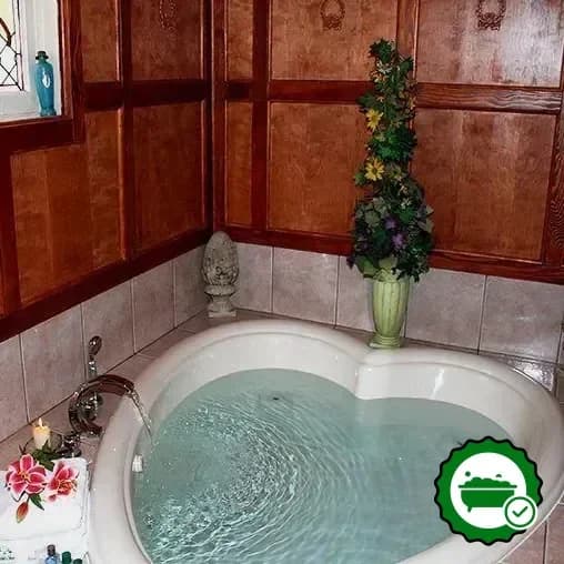 Jetted bathtub