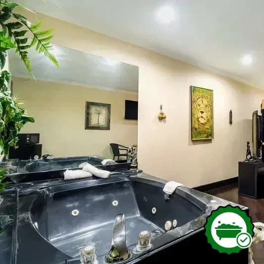 Jetted bathtub