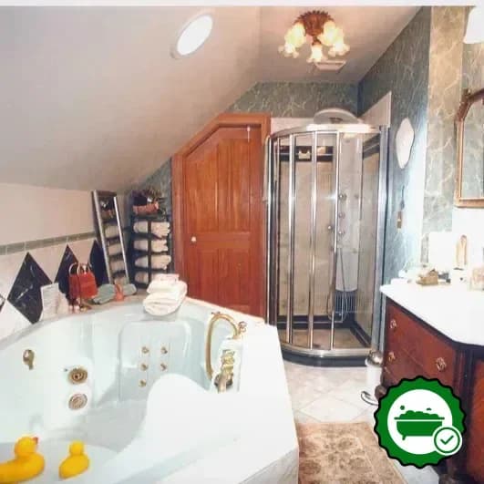 Jetted bathtub