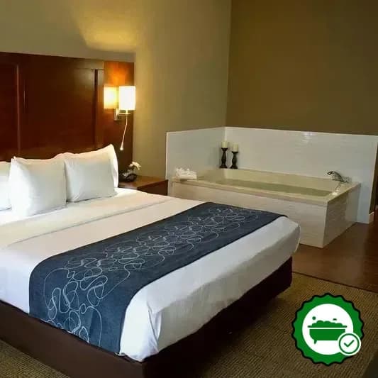 Comfort Suites Mattoon