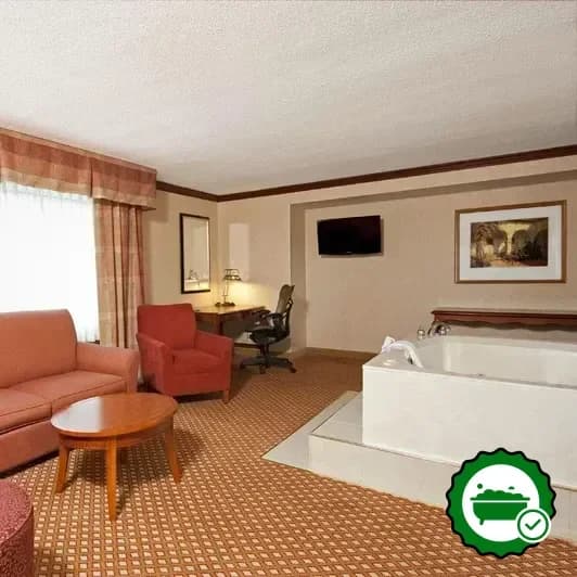 Hotels with jacuzzi in room in Southfield