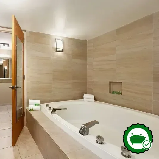 Holiday Inn Washington-Dulles Intl Airport, an IHG hotel